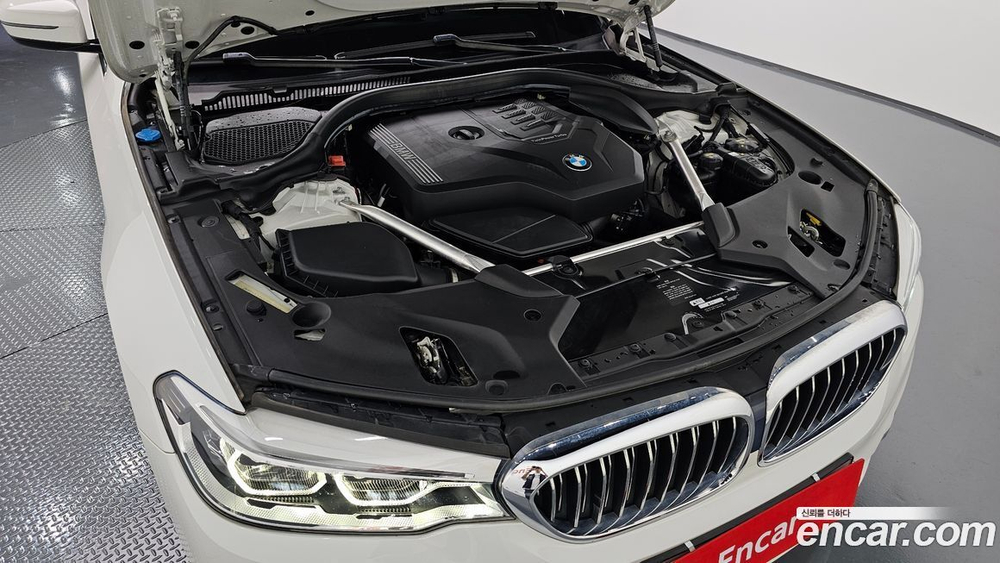 BMW 5 Series (G30) 520i Luxury (08.2020)
