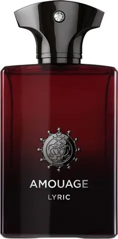 AMOUAGE LYRIC MAN EDP 100 ML