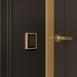 Рамка на 1 пост Werkel Baguette (черный/латунь) W0012852