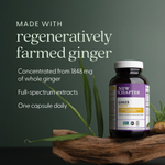 New Chapter, Ginger Force™, 60 вегетарианских капсул