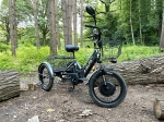 Электровелосипед GREEN CITY e-ALFA Trike (синий)