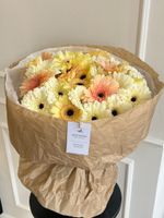 Букет из гербер в кремовом оттенке 25 шт