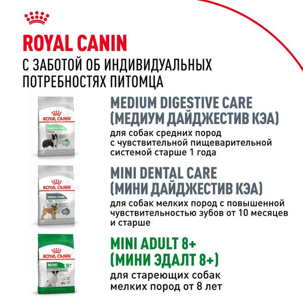 Сухой корм Royal Canin Mini Adult для взрослых собак мелких размеров от 10 месяцев
