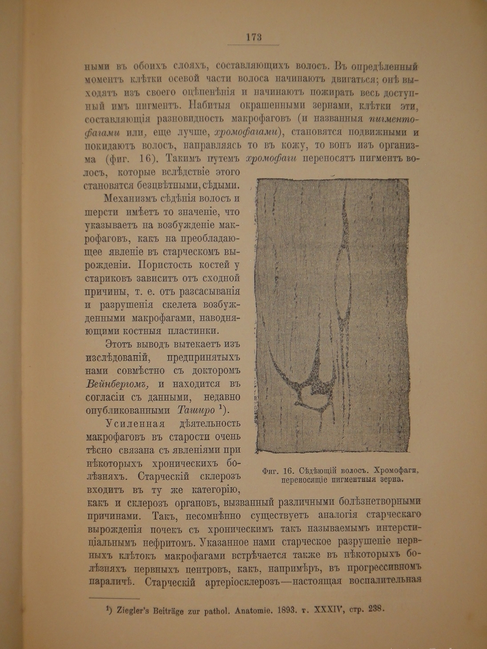 "Этюды о природе человека". И.И.Мечников. 1904г.