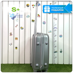 Маленький чемодан King of King, Серебристый, S+