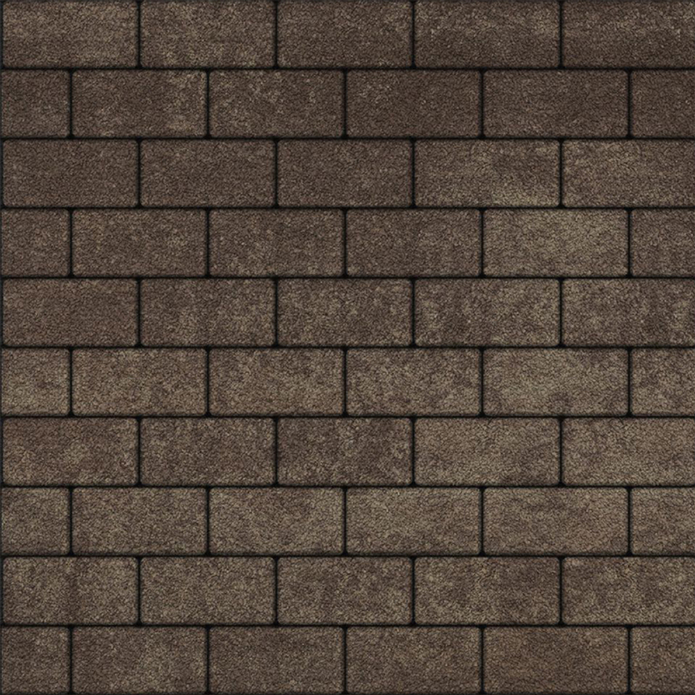 Тротуарная плитка ПРЯМОУГОЛЬНИК 200x100 мм - Листопад гранит Хаски