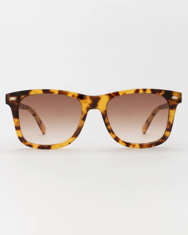 Очки солнцезащитные Terra 7 Tortoise / Gradient brown - фото 2