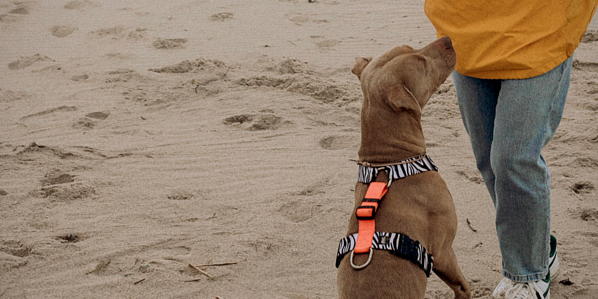 Кастом амуниции