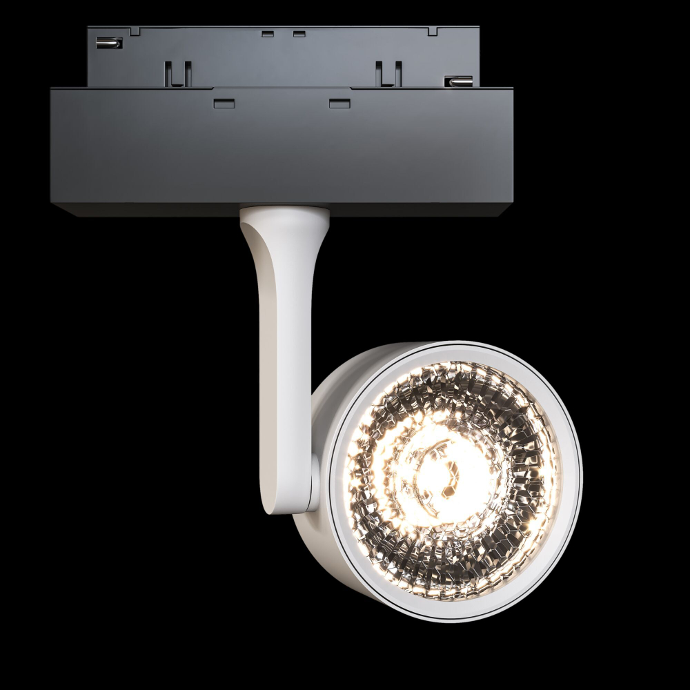 Трековый светильник Maytoni Technical TR024-2-10W4K