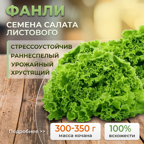 ФАНЛИ семена салата (Syngenta | Alexagro) – фото 1