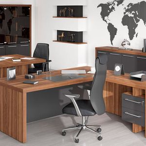 Кабинет руководителя Зенн