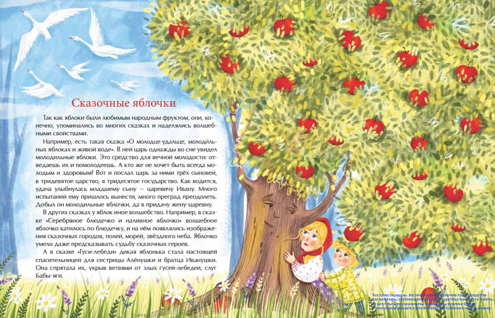 Эх, яблочко! Неизвестные истории известного фрукта