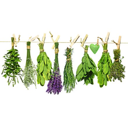 Для здоровья