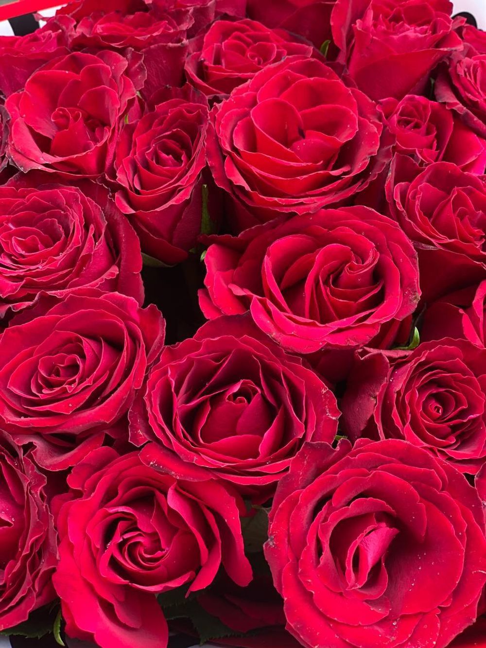 Монобукет из роз Поздравительный !