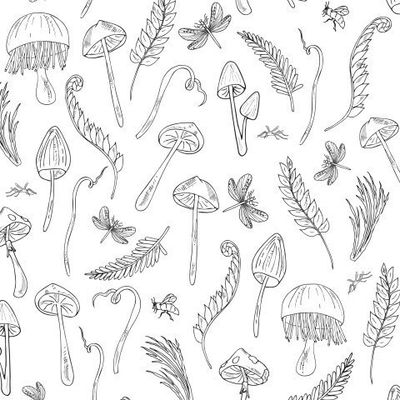 волшебные грибы