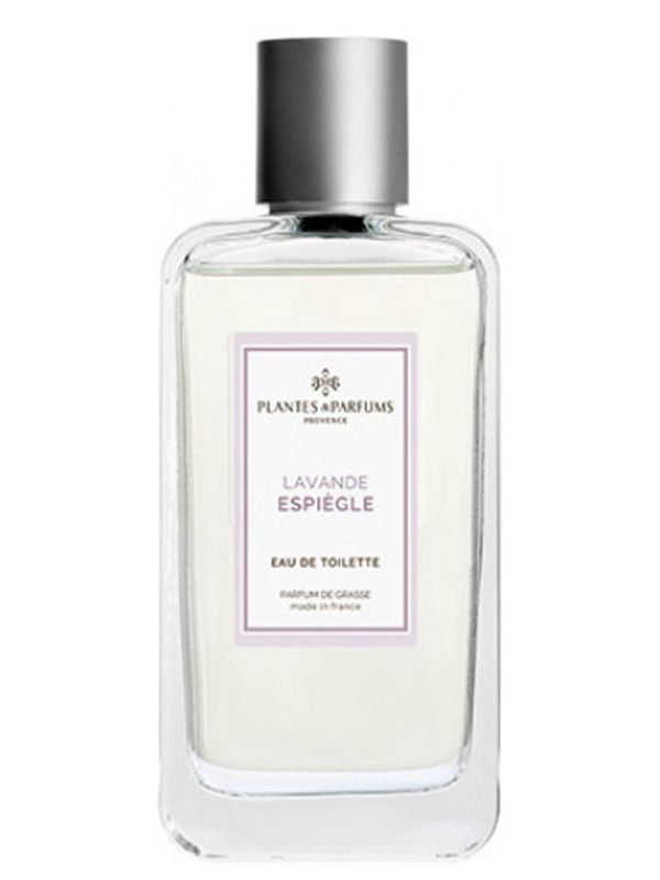 Plantes and Parfums Lavande Espiegle