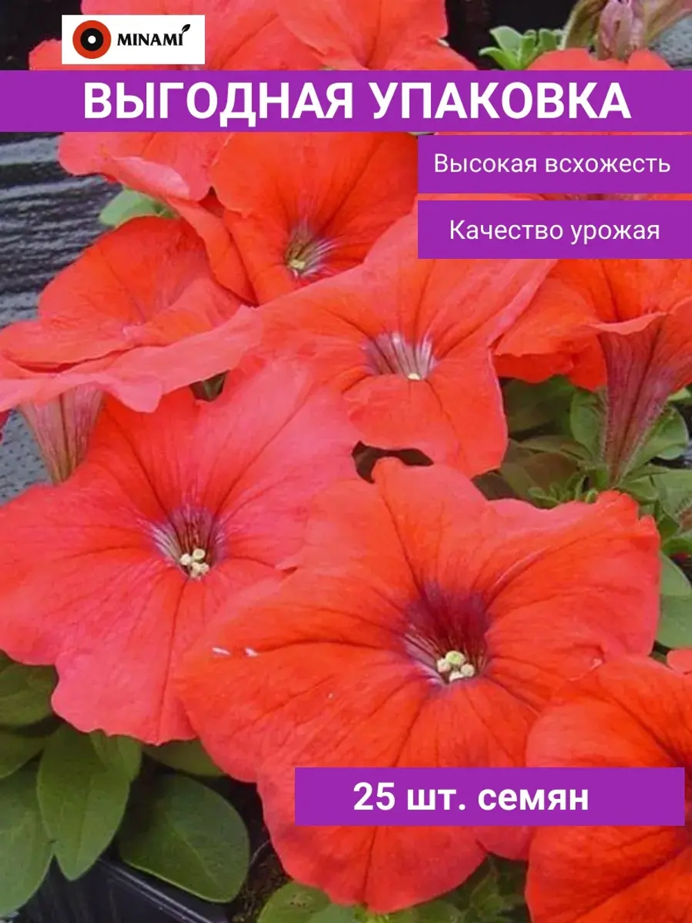 Петуния Мамбо F1 красная
