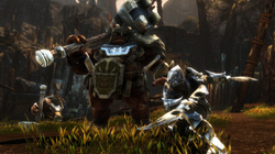 Kingdoms of Amalur Re-Reckoning (PS4, полностью на русском языке)