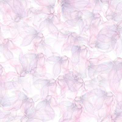 Магнолия лиловая