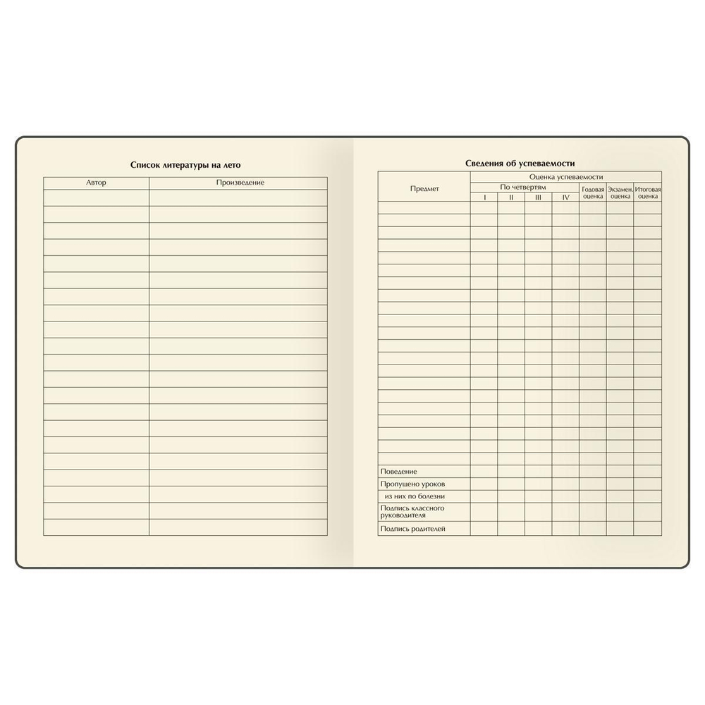 Дневник 1-11 кл. 48 листов, иск. кожа, ляссе "Black concept" (BG)