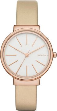 Женские часы Skagen SKW2481