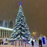 Уличная елка ствольная "Таежная" (пвх) от 11 до 21 м