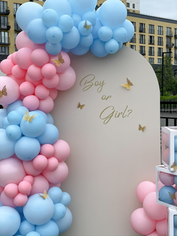 Фотозона 58. Гендер-пати