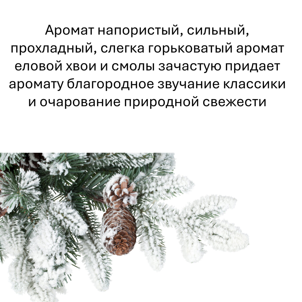Еловая хвоя, кубики восковые для ароматизации, 10 штук
