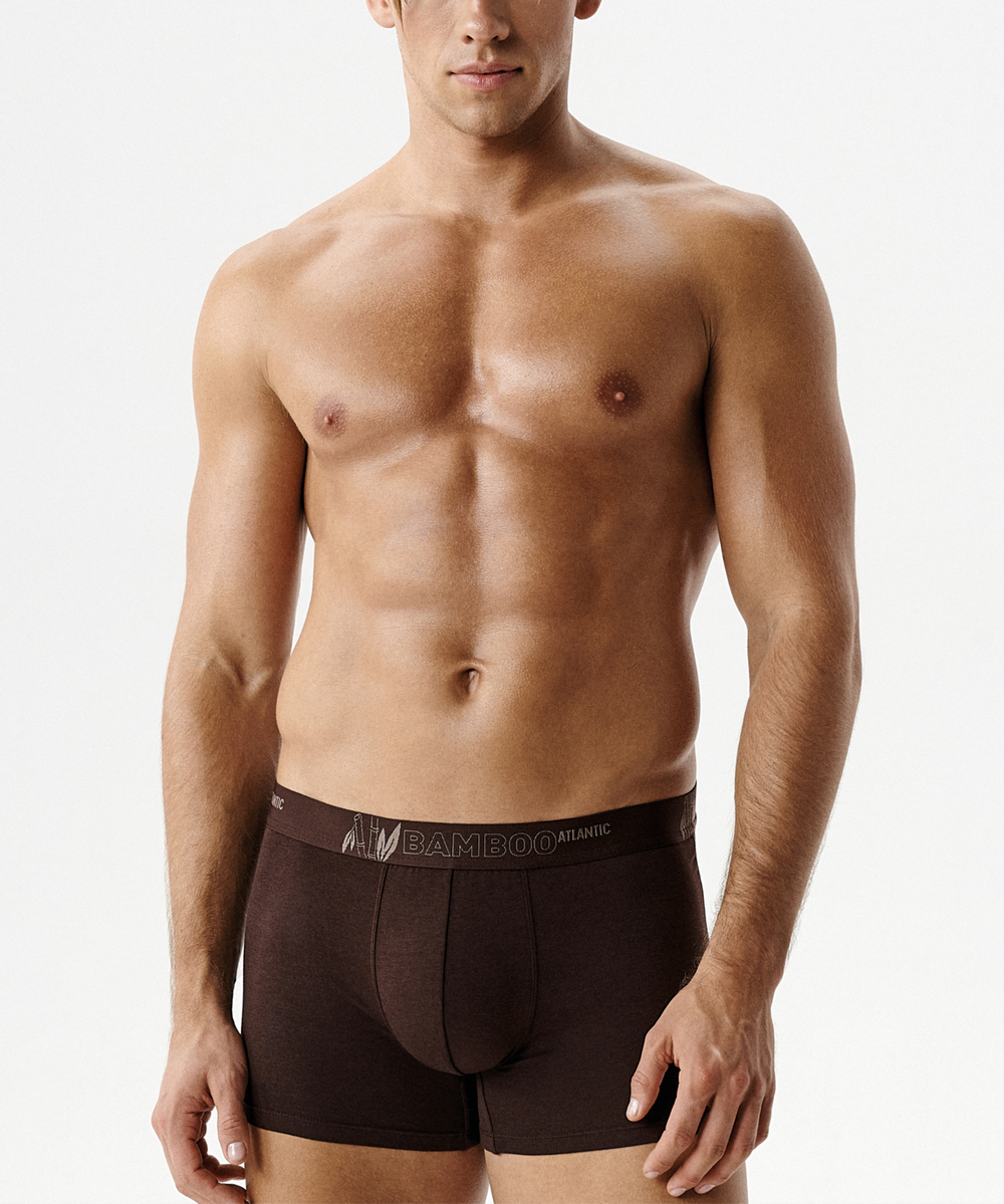 Мужские трусы шорты Atlantic, набор из 3 шт., бамбук, бежевые + коричневые + сине-зелёные, 3MH-231