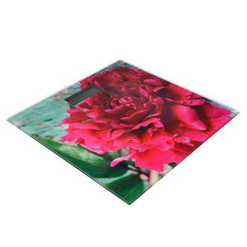 Весы напольные электронные Цветы  ХХ