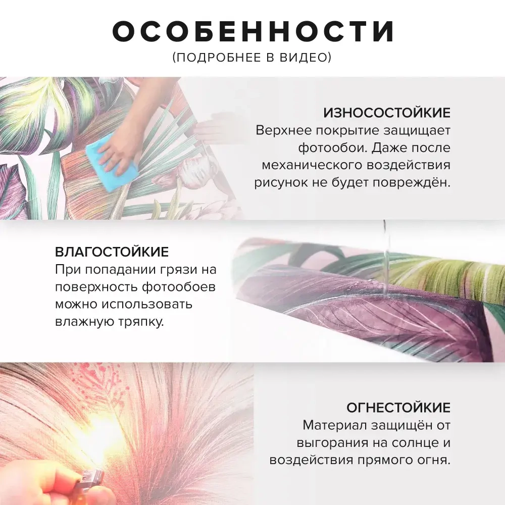 Флизелиновые фотообои на стену Обоюшкины "Кот" 306х280 (ШхВ)