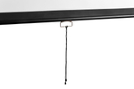 Экран настенный Digis DSOD-16906MW 265x149 см (16:9)