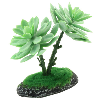 Растение 15010REP "Граптоверия", 150мм, Laguna Terra