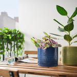 Горшок для растений IKEA CHIAFRON (ЧИАФРЁН), Синий, 12 см