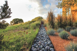 Beyond the Garden: Designing Home Landscapes with Natural Systems