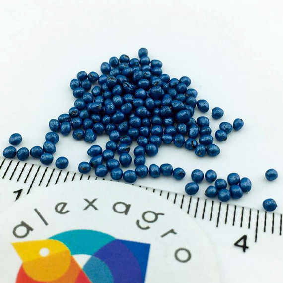 Солистар F1 семена капусты цветной (Syngenta  ALEXAGRO) семена – фото 5