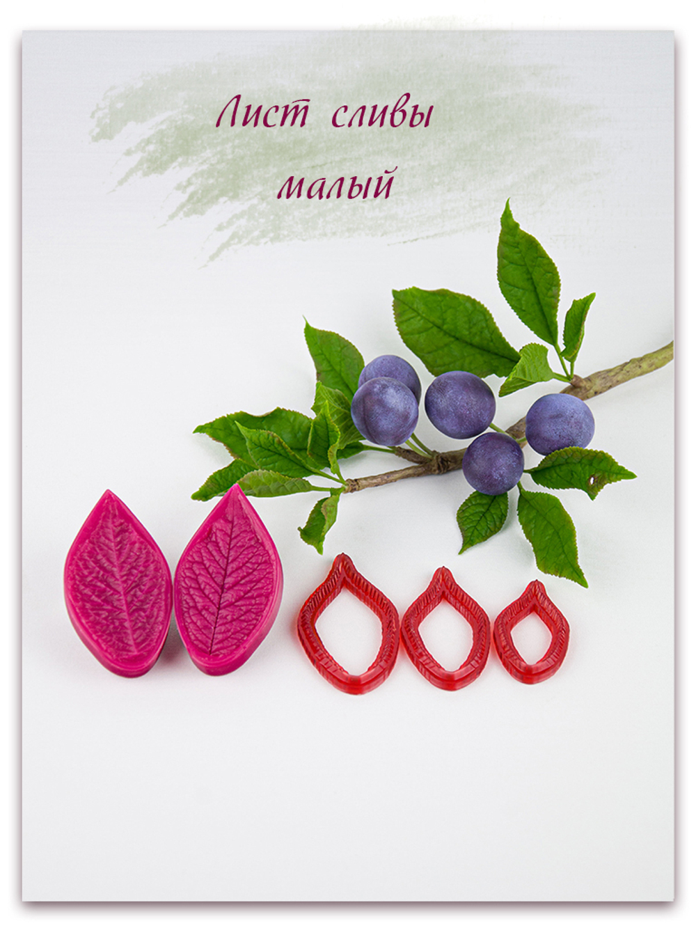 Лист сливы малый