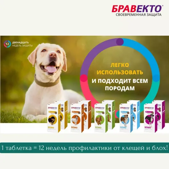 MSD Animal Health Бравекто для собак 20-40 кг, таблетки 1000 мг 1 шт. в уп., 1 уп.