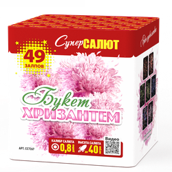 Букет хризантем (0,8"х49) (СС7267)