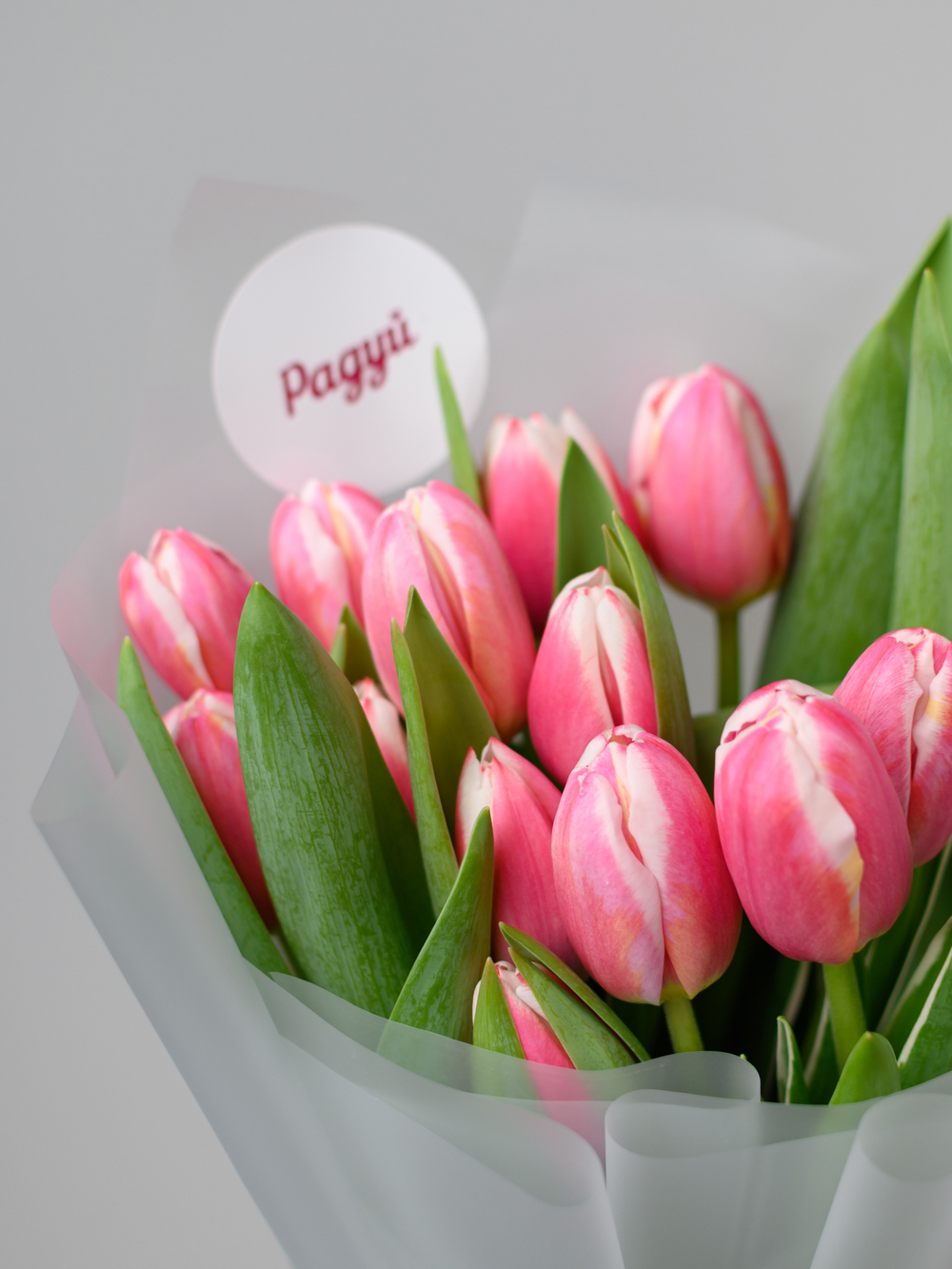 Тюльпаны микс