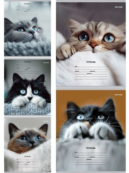 Тетрадь А5 12л косая лин. с доп.горизонт.лин. Проф-Пресс "Кошачьи мордочки" 5диз.в сп.