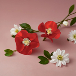 Серьги Jewelry - арт1142