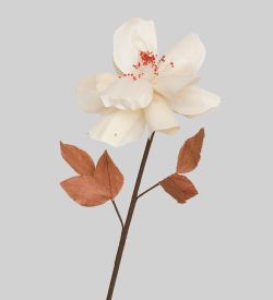 TR 404 Китайская роза