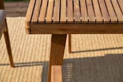 Обеденная группа из акации MONA L