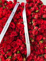 АКЦИЯ - красная кустовая роза - цена действует при заказе от 25шт