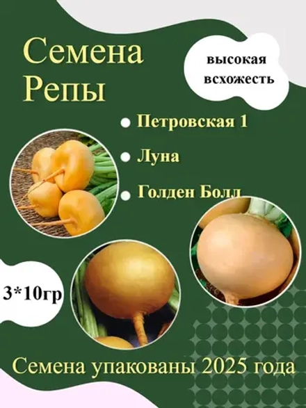 Семена Репы