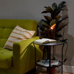 ULM-D501 4W-4000K ORANGE Светильник настольный светодиодный прищепка. Механический выключатель. Оранжевый. TM Uniel