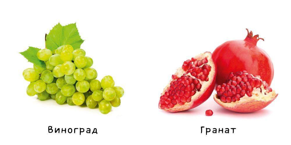 EVA. Фрукты и овощи