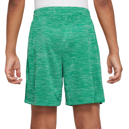 Детские теннисные шорты Nike Kids Dri-FIT Multi Big Training - stadium green/pure/white