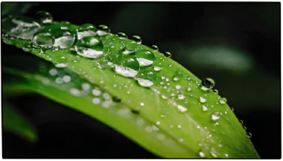 Панель LCD 55' Dahua DHI-LS550UEM-UG